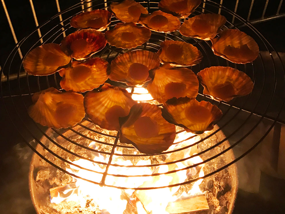 fischzucht bremgarten Fisch Feuer